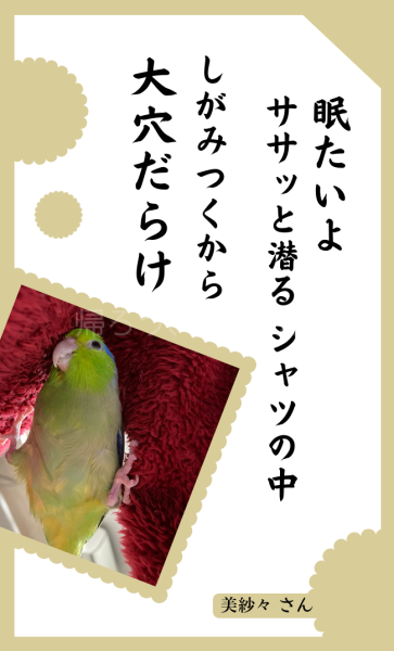 愛鳥俳句編集用ほっこり - 1